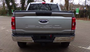 ’25 reg Ford F-150 XLT 3.3L V6 Regular Cab 4×4 full