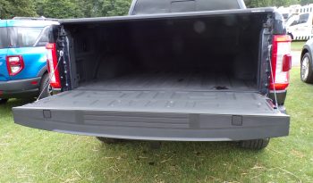 2021 Ford F-150 Platinum 3.5L V6 4×4 Crew Cab 400Bhp full