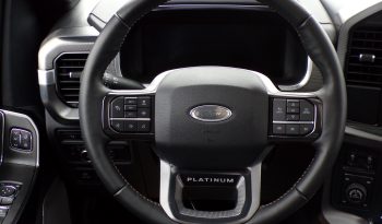 2021 Ford F-150 Platinum 3.5L V6 4×4 Crew Cab 400Bhp full