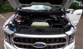 2021 Ford F-150 Platinum 3.5L V6 4×4 Crew Cab 400Bhp full