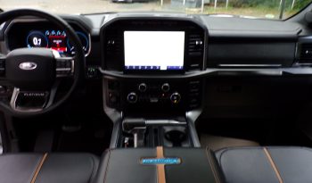 2021 Ford F-150 Platinum 3.5L V6 4×4 Crew Cab 400Bhp full