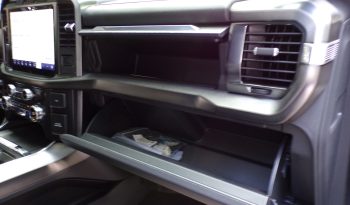 2021 Ford F-150 Platinum 3.5L V6 4×4 Crew Cab 400Bhp full