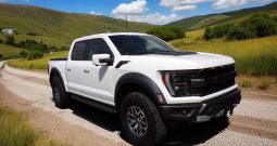 25 reg Ford F-150 RAPTOR 3.5L V6 High Output Crew Cab 4×4 450Bhp