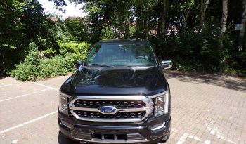 2021 Ford F-150 Platinum 3.5L V6 Crew Cab 4×4 full