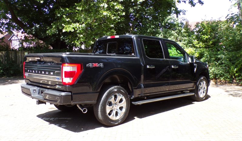 2021 Ford F-150 Platinum 3.5L V6 Crew Cab 4×4 full