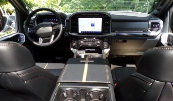 2021 Ford F-150 Platinum 3.5L V6 Crew Cab 4×4 full