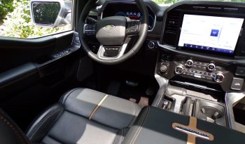 2021 Ford F-150 Platinum 3.5L V6 Crew Cab 4×4 full