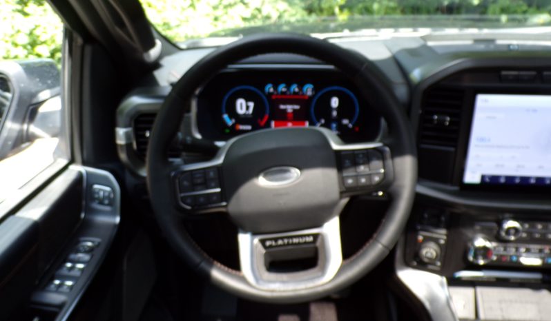 2021 Ford F-150 Platinum 3.5L V6 Crew Cab 4×4 full