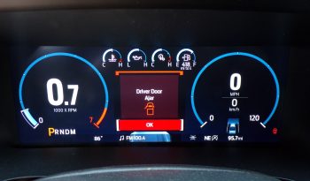2021 Ford F-150 Platinum 3.5L V6 Crew Cab 4×4 full