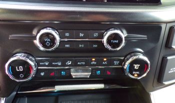2021 Ford F-150 Platinum 3.5L V6 Crew Cab 4×4 full