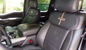 2021 Ford F-150 Platinum 3.5L V6 Crew Cab 4×4 full