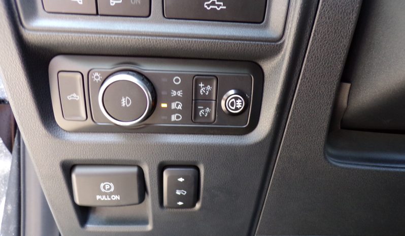 2021 Ford F-150 Platinum 3.5L V6 Crew Cab 4×4 full