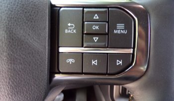 2021 Ford F-150 Platinum 3.5L V6 Crew Cab 4×4 full