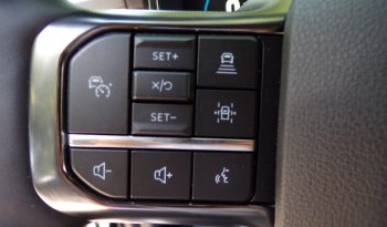 2021 Ford F-150 Platinum 3.5L V6 Crew Cab 4×4 full