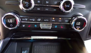 2021 Ford F-150 Platinum 3.5L V6 Crew Cab 4×4 full