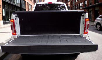 2021 Ford F-150 Platinum 3.5L V6 4×4 Crew Cab 400Bhp full