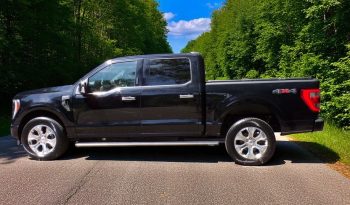 2021 Ford F-150 Platinum 3.5L V6 Crew Cab 4×4 400Bhp full