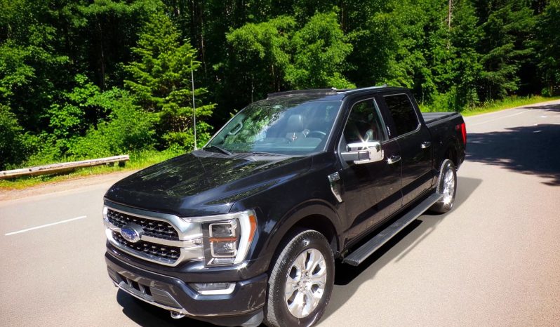 2021 Ford F-150 Platinum 3.5L V6 Crew Cab 4×4 400Bhp full