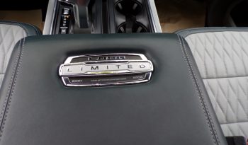 2021 Ford F-150 LIMITED Petrol/Hybrid 3.5L V6 4×4 Crew Cab full
