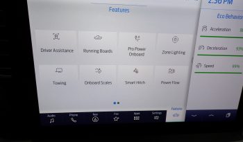 2021 Ford F-150 LIMITED Petrol/Hybrid 3.5L V6 4×4 Crew Cab full