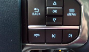2021 Ford F-150 LIMITED Petrol/Hybrid 3.5L V6 4×4 Crew Cab full