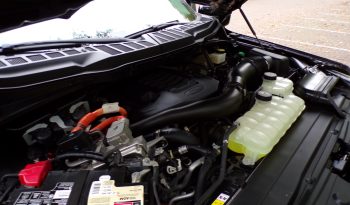 2021 Ford F-150 LIMITED Petrol/Hybrid 3.5L V6 4×4 Crew Cab full
