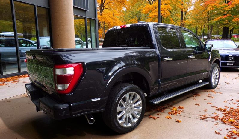 2021 Ford F-150 LIMITED Petrol/Hybrid 3.5L V6 4×4 Crew Cab full