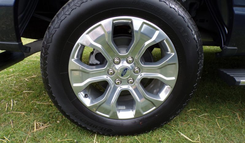 2021 Ford F-150 Platinum 3.5L V6 Crew Cab 4×4 full