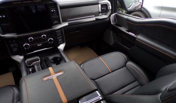 2021 Ford F-150 Platinum 3.5L V6 Crew Cab 4×4 full