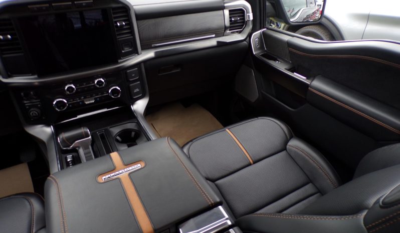 2021 Ford F-150 Platinum 3.5L V6 Crew Cab 4×4 full