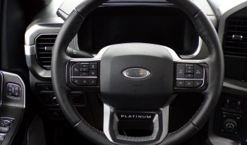 2021 Ford F-150 Platinum 3.5L V6 Crew Cab 4×4 full