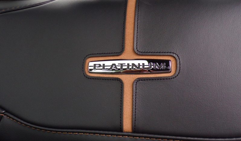 2021 Ford F-150 Platinum 3.5L V6 Crew Cab 4×4 full