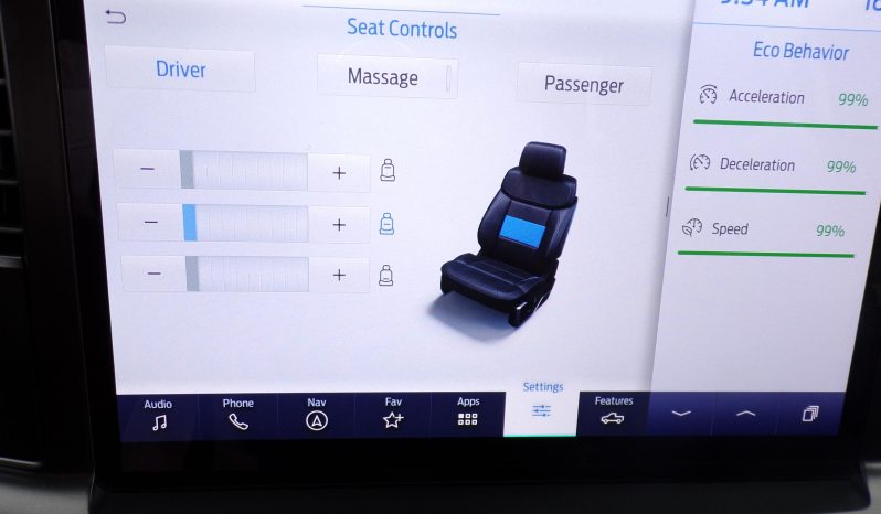 2021 Ford F-150 Platinum 3.5L V6 Crew Cab 4×4 full