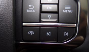 2021 Ford F-150 Platinum 3.5L V6 Crew Cab 4×4 full