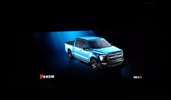 2021 Ford F-150 Platinum 3.5L V6 Crew Cab 4×4 full