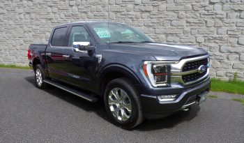 2021 F-150 Grey Showrrom