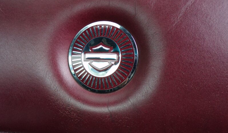 2010 Ford F-150 HARLEY DAVIDSON 5.4L V8 AWD Supercrew Cab full