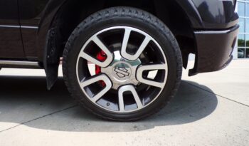 2010 Ford F-150 HARLEY DAVIDSON 5.4L V8 AWD Supercrew Cab full