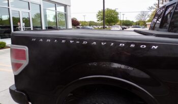 2010 Ford F-150 HARLEY DAVIDSON 5.4L V8 AWD Supercrew Cab full